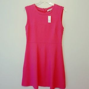 New Loft Shift Dress